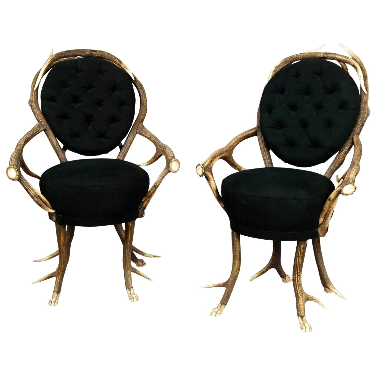 Paire de rares chaises de salon en bois de cervidé, françaises, vers 1860 en vente