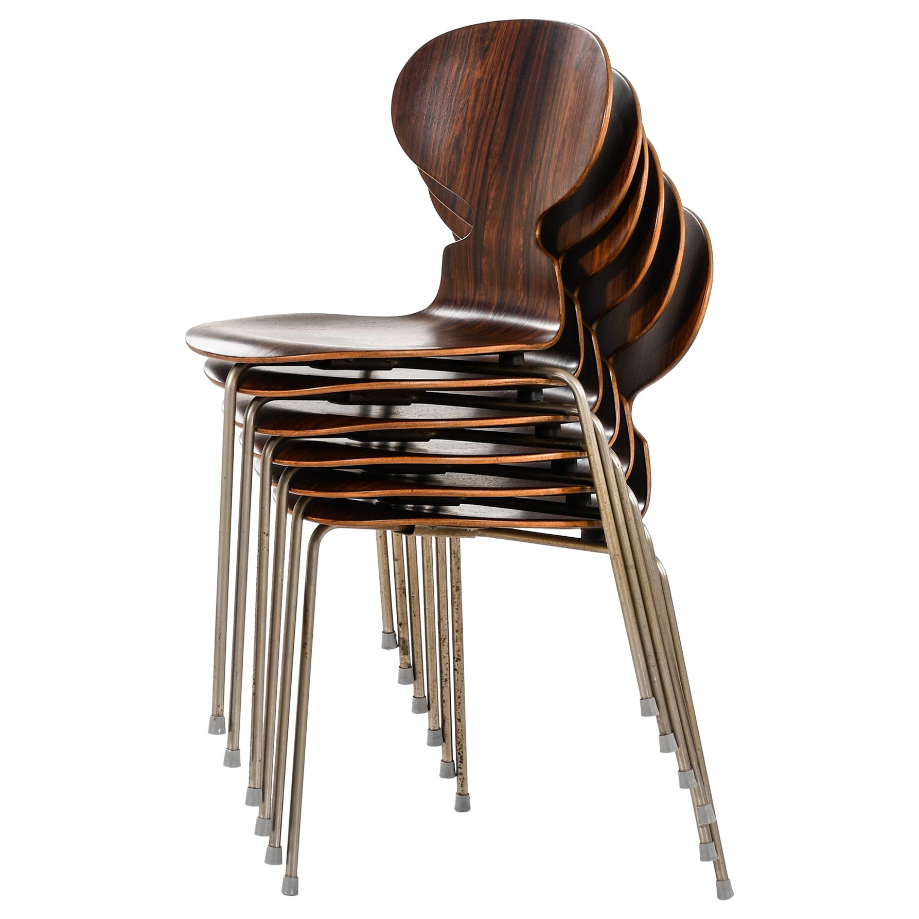 Satz von 6 Esszimmerstühlen aus Palisanderholz und Stahl von Arne Jacobsen, 1952 im Angebot