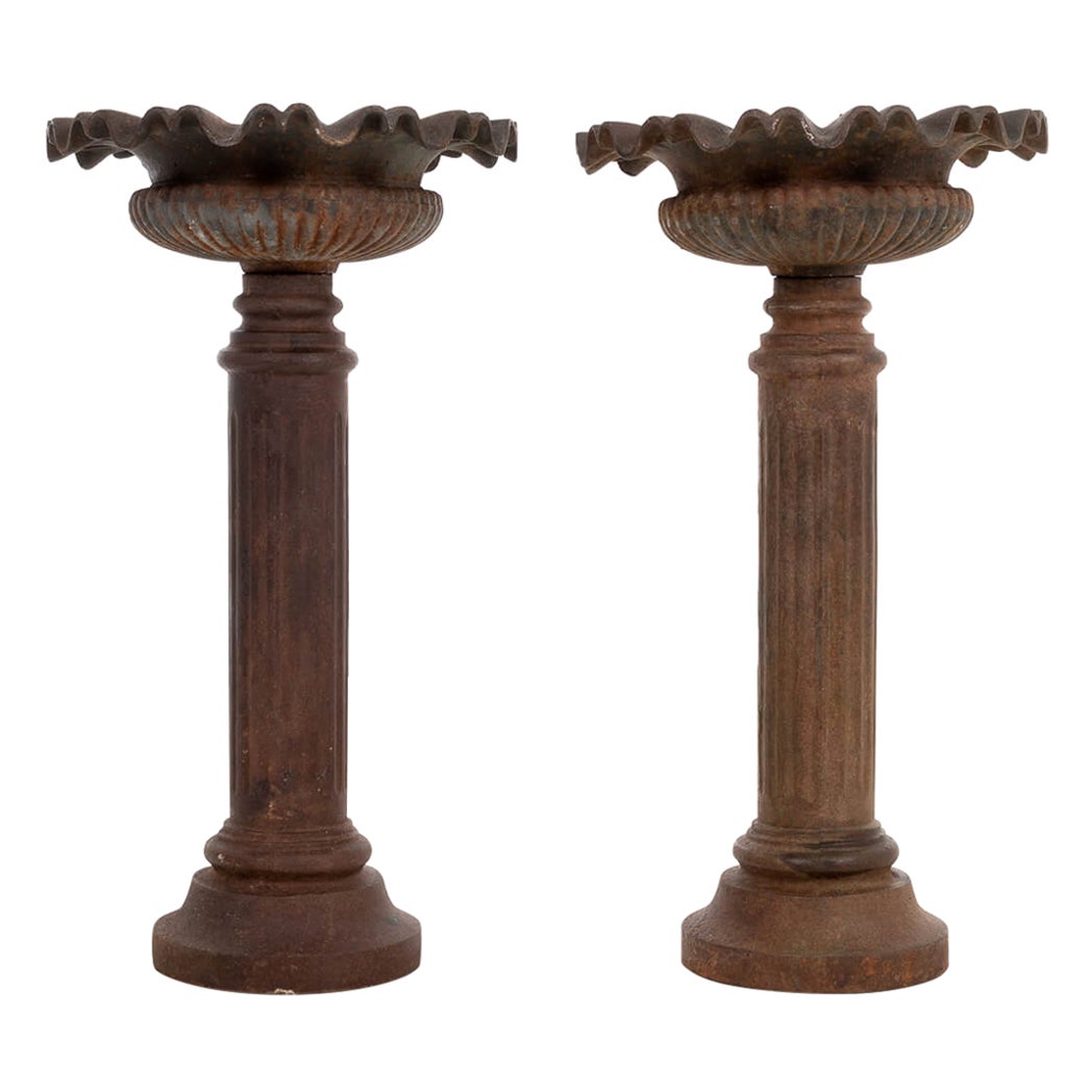 Pair of Tall French Cast Iron Garden Planters, circa 1890