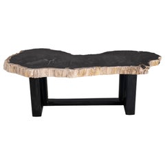 Organic Modern Petrified Wood Coffee Table