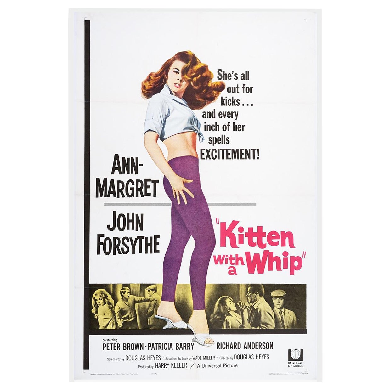 Kitten With A Whip '1964' Vintage Original Poster Linen Backed For Sale