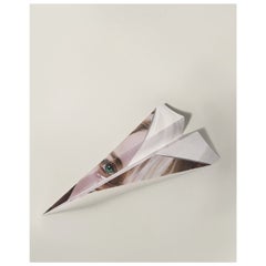 Paper Airplane 2021 U.S. Giclee Signed