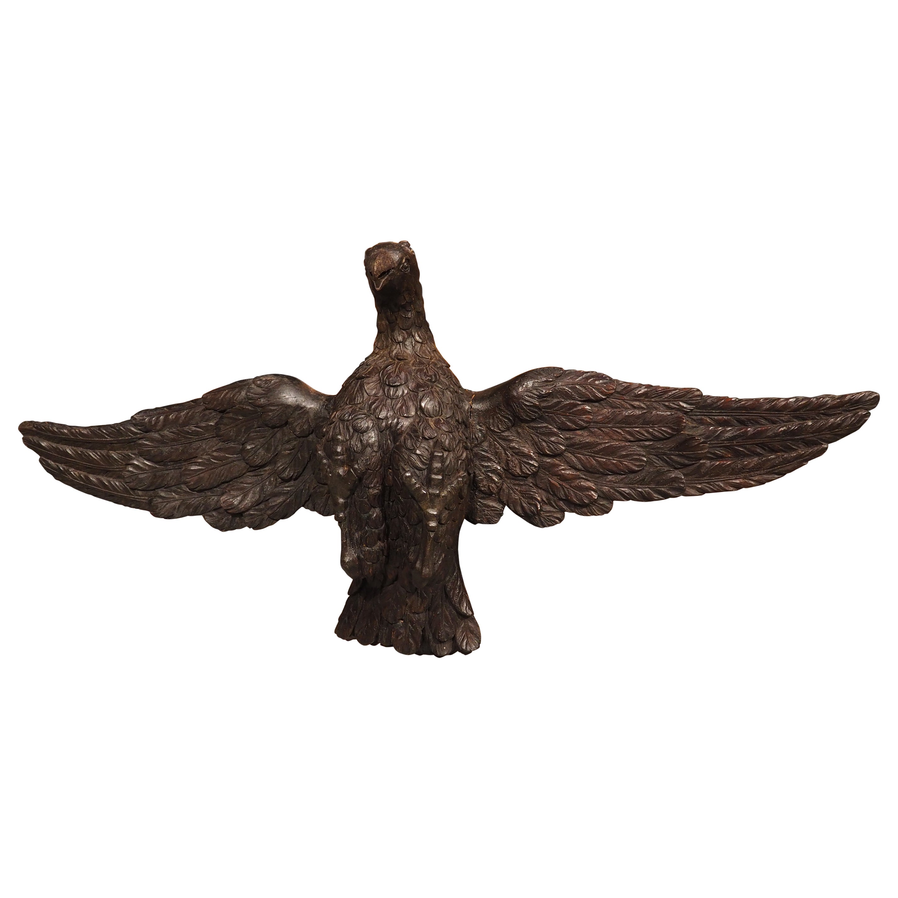 Aigle ancien en bois sculpté de 5,5 pieds de large provenant de France, vers 1810