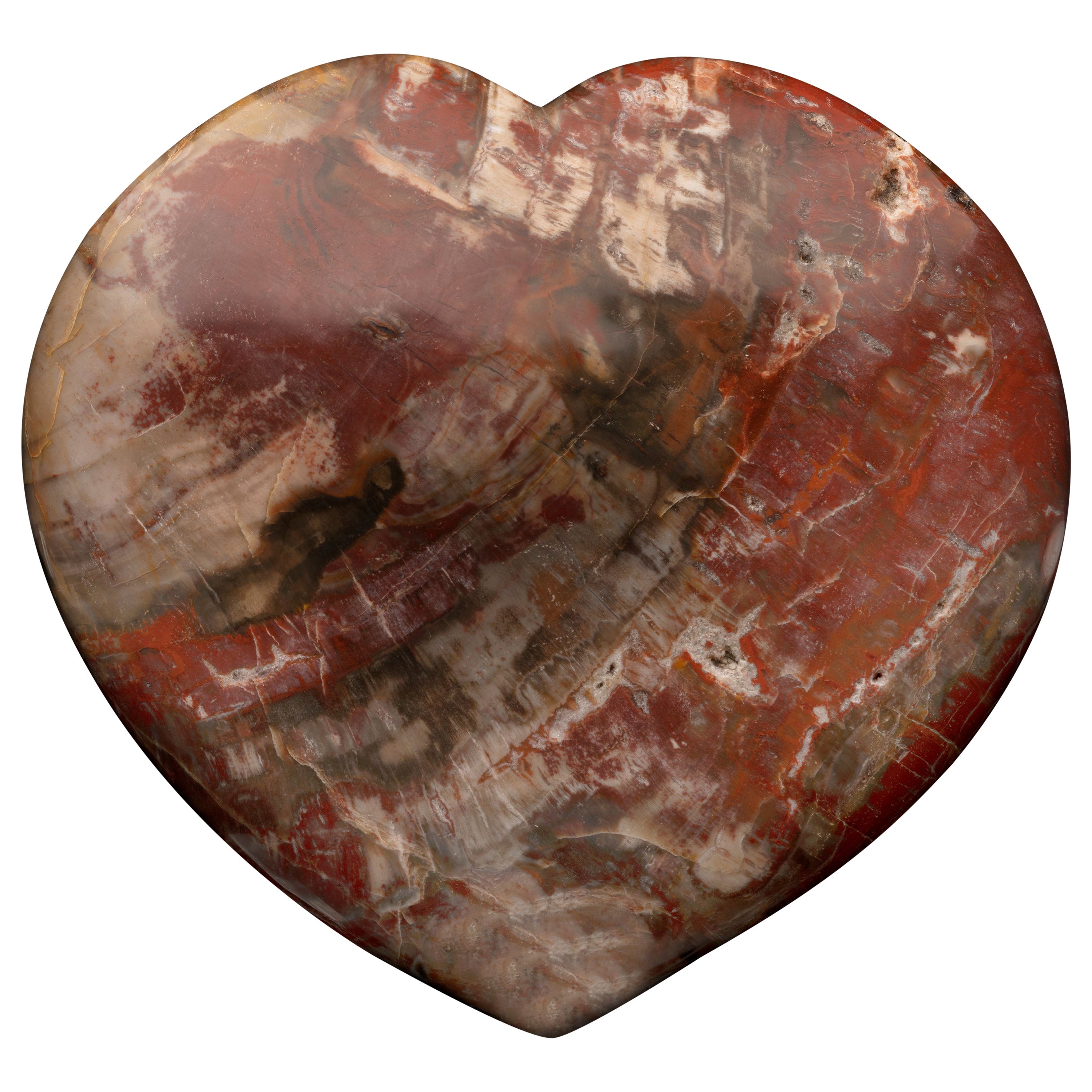Genuine 220 Million Year Old Petrified Wood Heart from Madagascar // 9 Lb For Sale