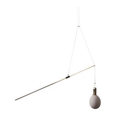 Hatching Eggs No 12 Ceiling Lamp by Periclis Frementitis