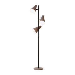 Vintage Floor Lamp, Design Attributed to Martin Eisler, Forma S.A., Brazil, 1950s