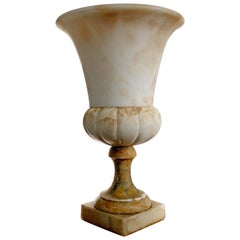 Große Grand Tour Campana-Urne aus Alabaster des 19. Jahrhunderts