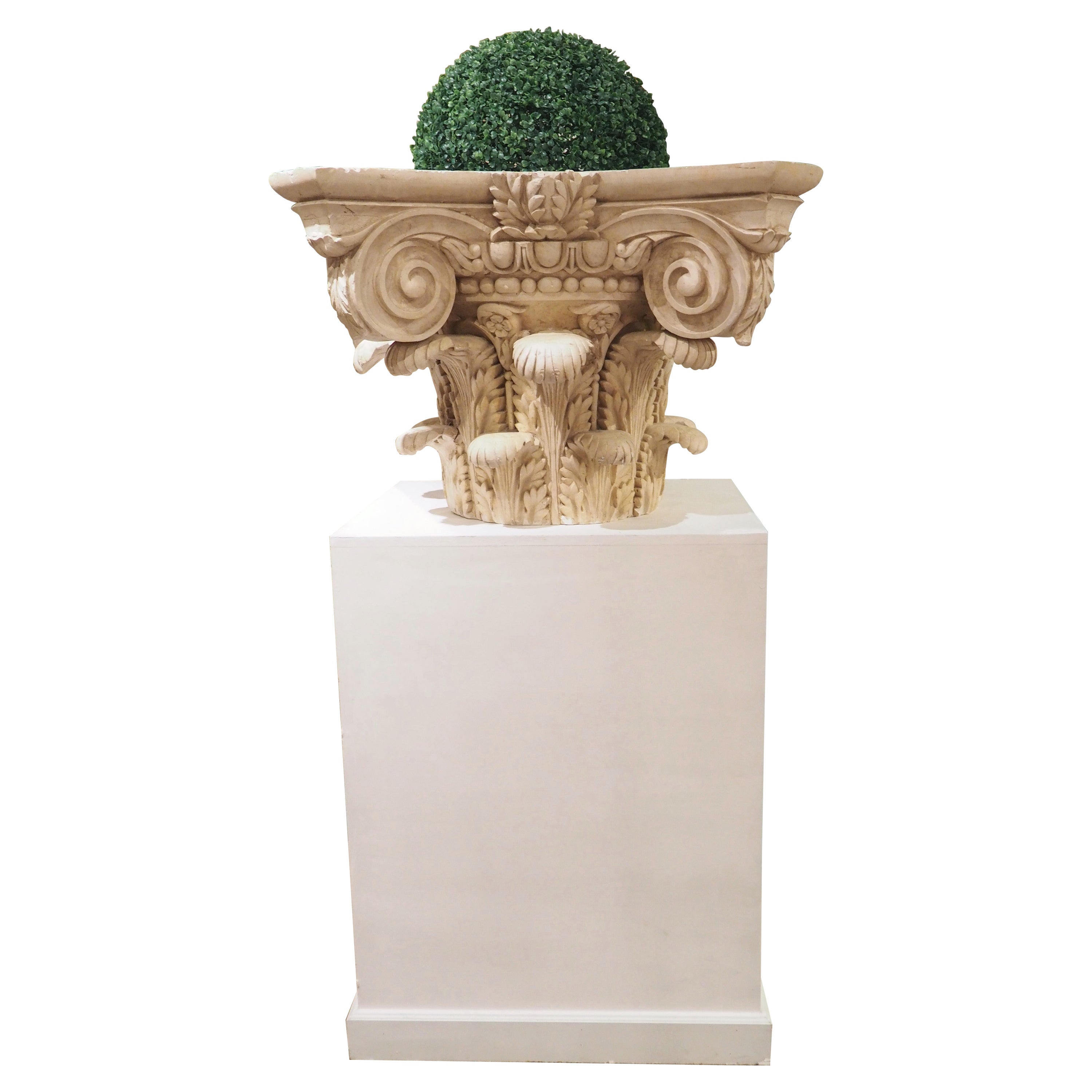 Large Plaster Composite Order Capital on Wooden Pedestal, France, Early 1900s For Sale