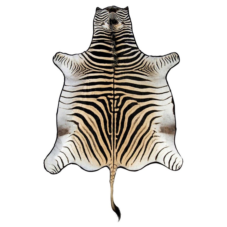 Grade A Burchell Zebra Rug For Sale at 1stDibs