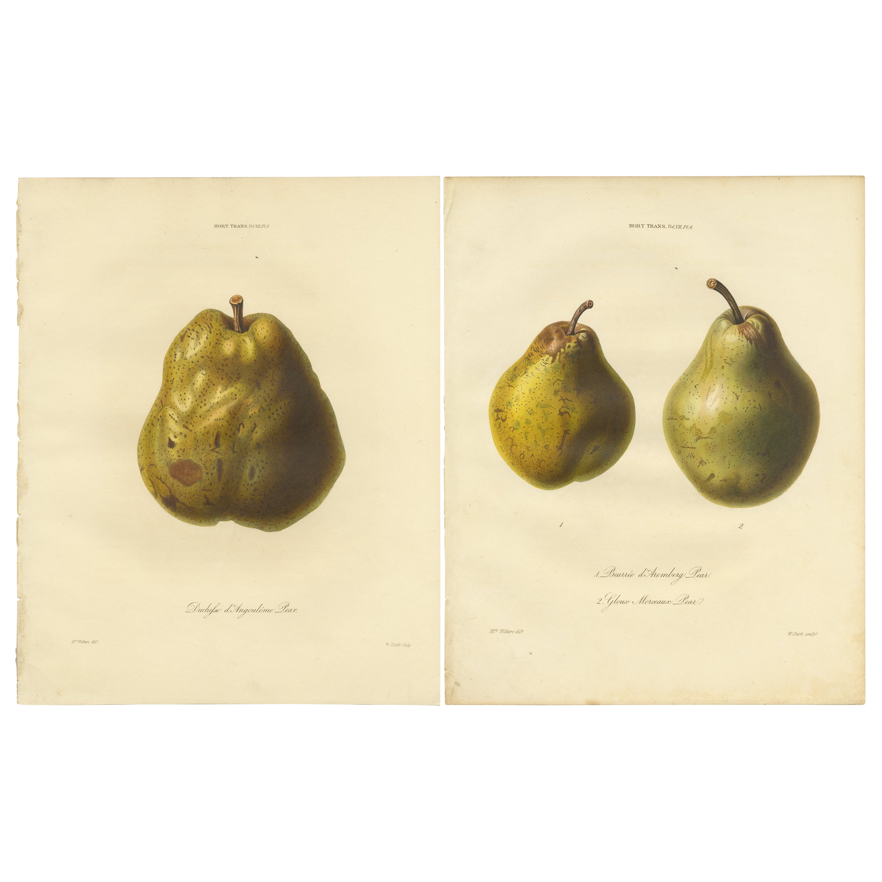 Set of 2 Antique Prints of the Duchesse d'Angouleme Pear and Others For Sale