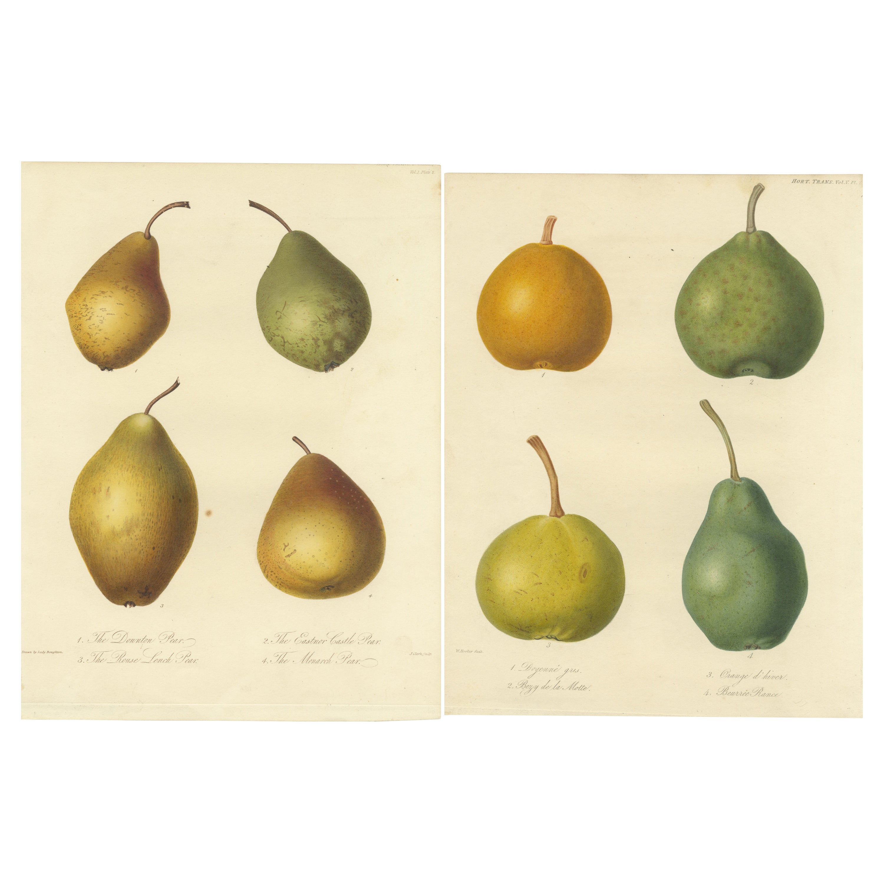 Set of 2 Antique Prints of the Downton Pear, Monarch Pear and Others For Sale