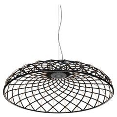 Flos Skynest Suspension Light in Anthracite