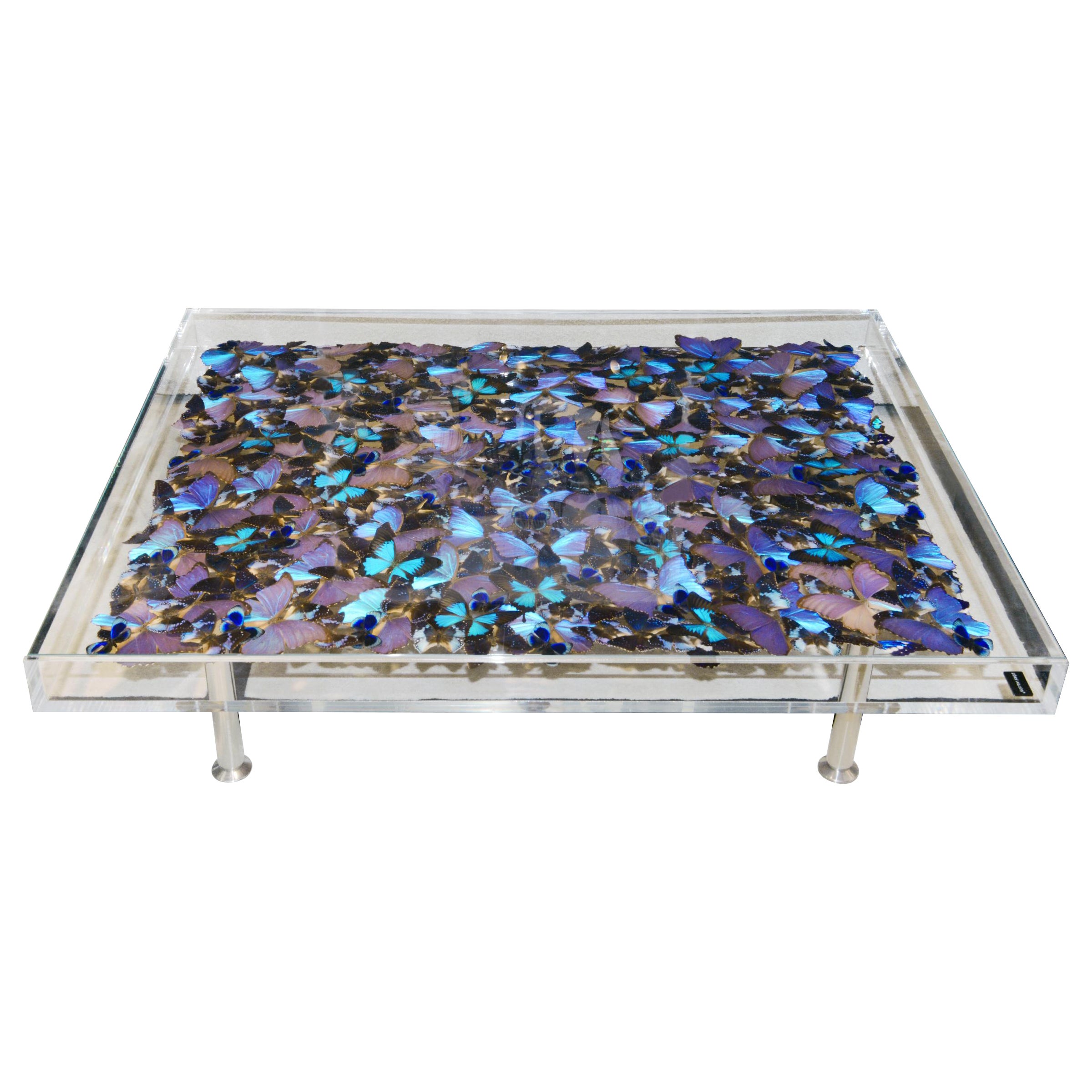 Blue Butterflies Coffee Table For Sale