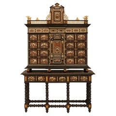 Flemish Early 19th Century Rosewood, Mahogany, Ebony, & Ormolu Specimen Cabinet