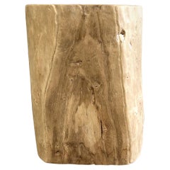 Vintage Natural Wood Stump Side Table or Stool
