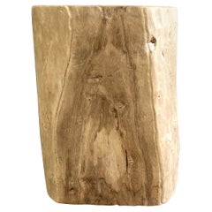 Natural Wood Stump Side Table or Stool