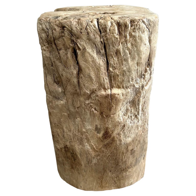 Natural Wood Stump Side Table or Stool For Sale at 1stDibs