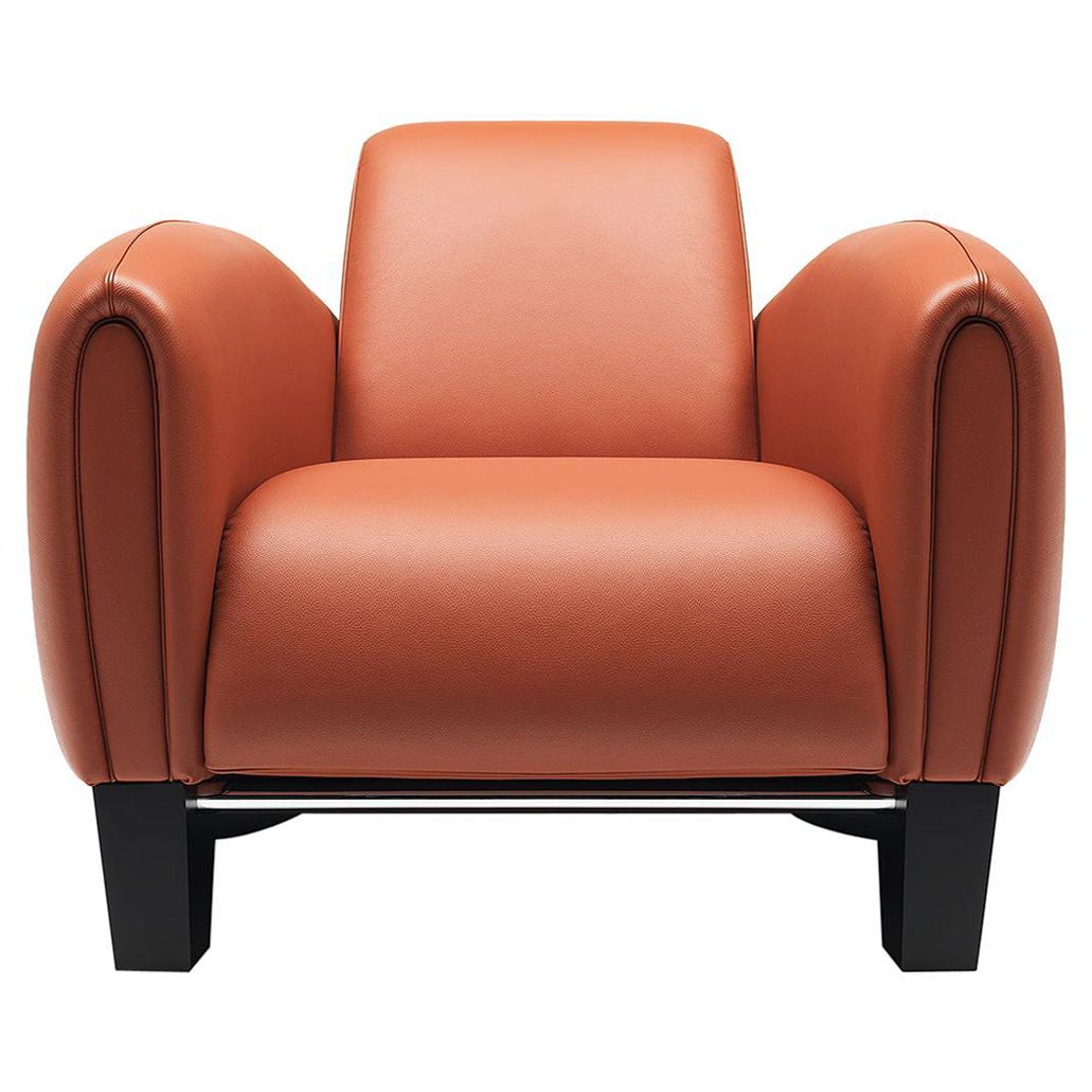 De Sede DS 57 Armchair in Teak Upholstery by Franz Romero For Sale