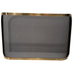 Curved Brass and Grilling Fireplace Screen