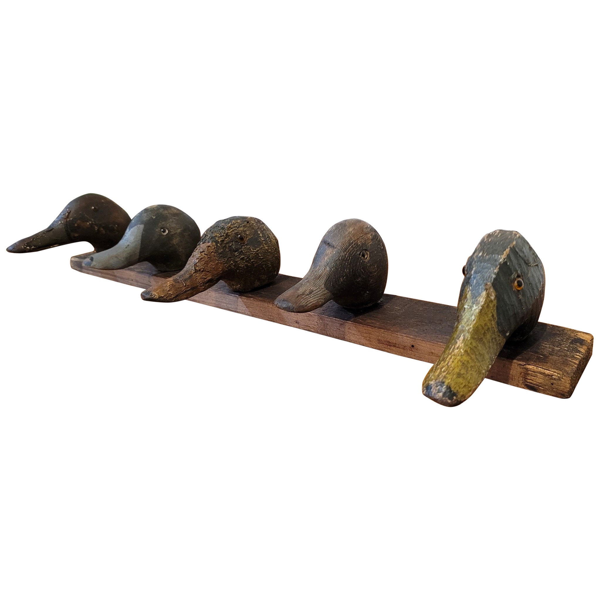 Early 20C Mounted Duck Decoy Heads 2 For Sale