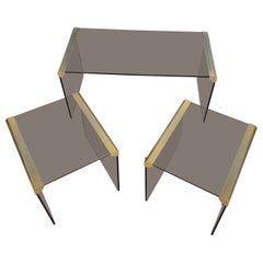 Retro Steel and Smoked Glass Coffee Tables by P. Gallotti for Gallotti & Radice