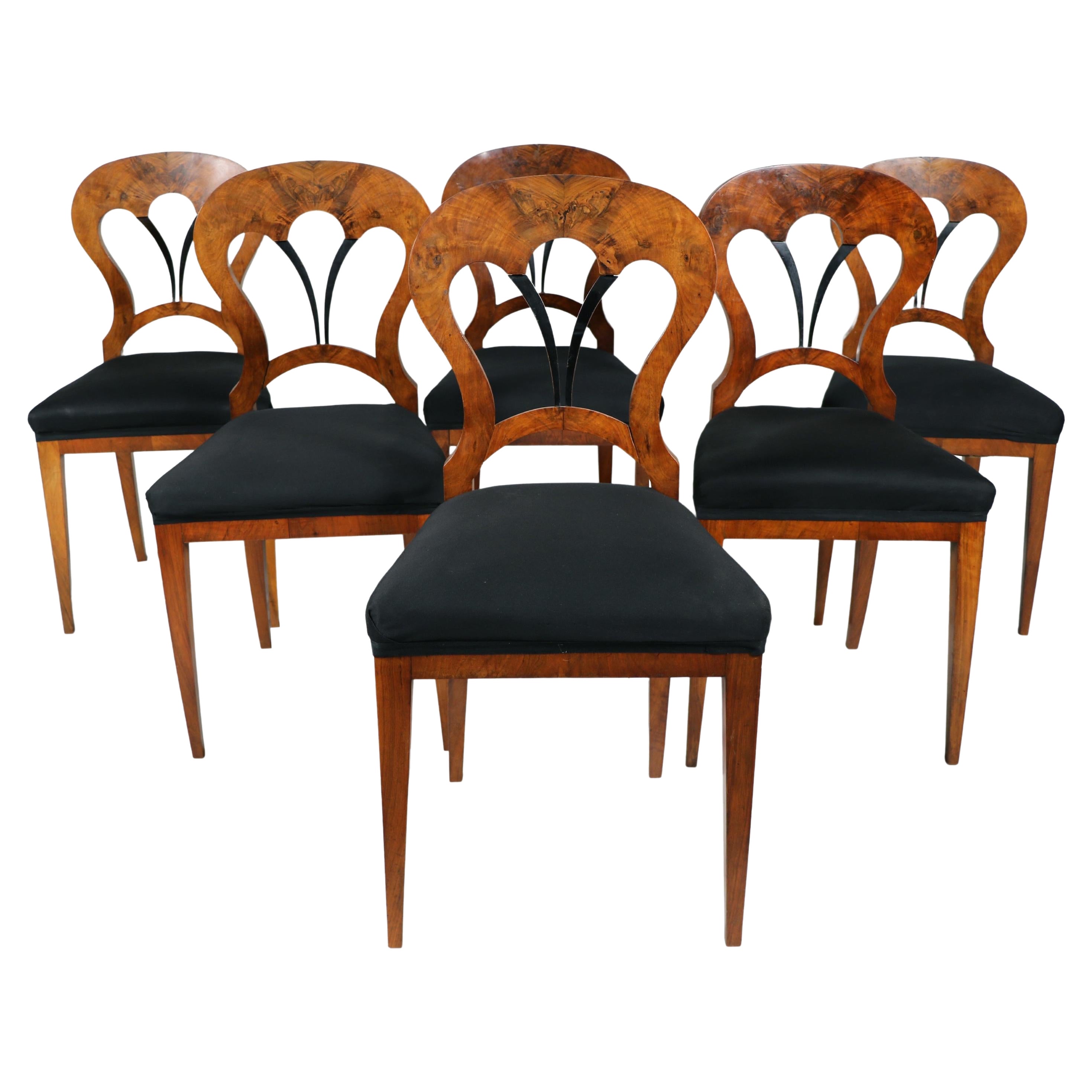 Ensemble de six chaises Biedermeier en noyer du 19e siècle. Vienne, vers 1825.