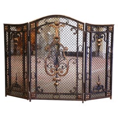 Antique 18th Century French Gothic Wrought Iron Fireplace Screen with Mesh