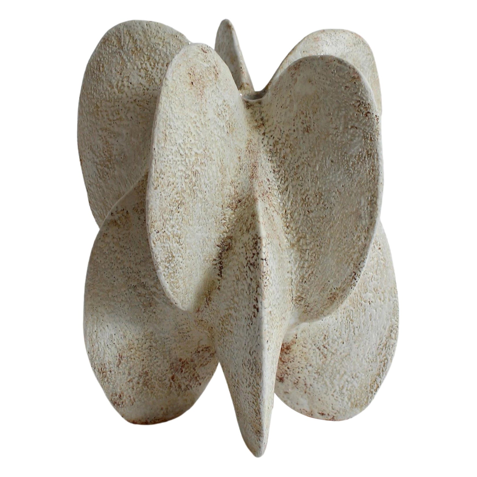 Zucca a petali di stella III di Julie Nelson in vendita
