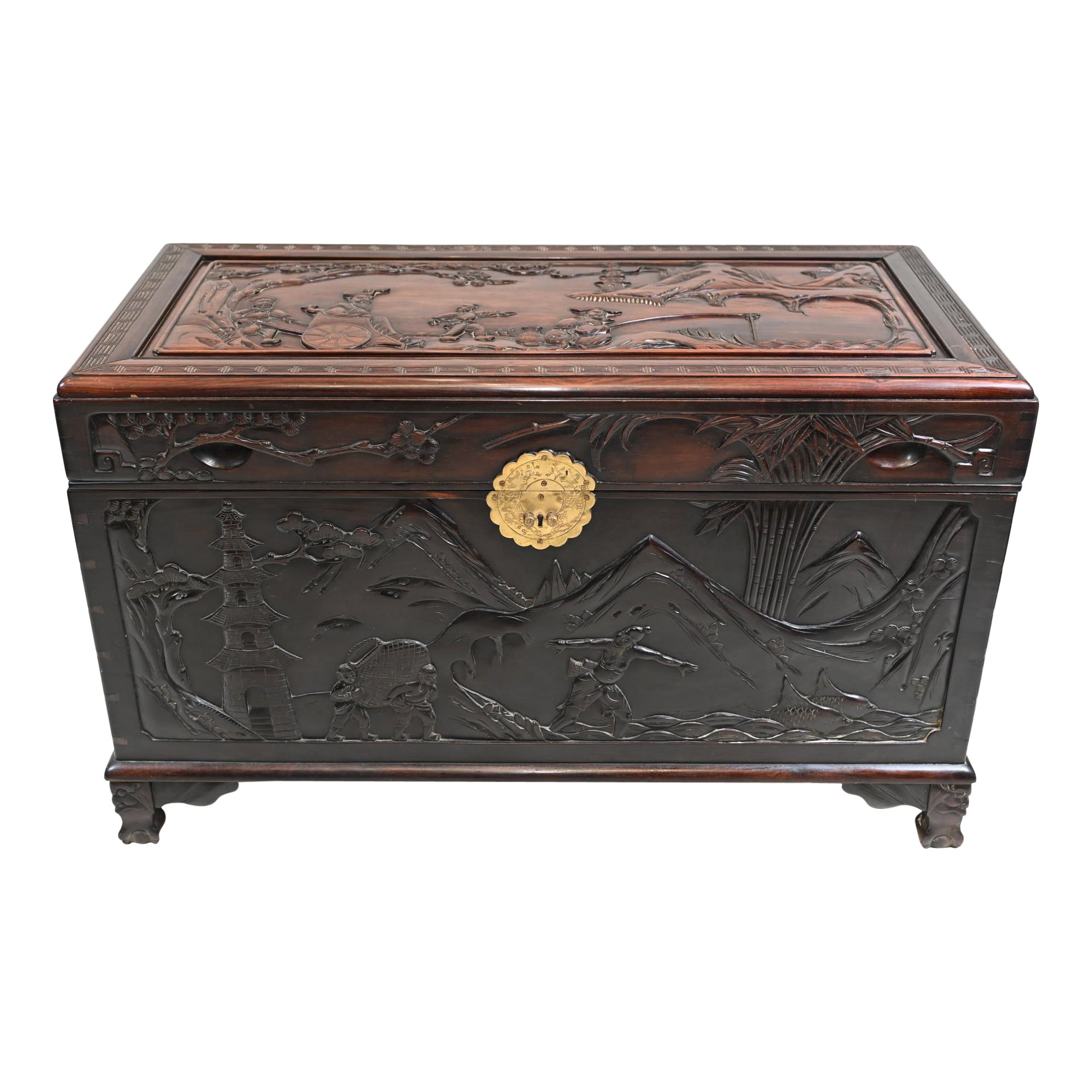 Chinese Camphor Chest Hardwood Carved Luggage Box 1880 For Sale