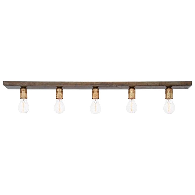 Konsthantverk Raad Raw Brass and Oxidized Iron Ceiling Lamp For Sale