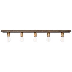 Konsthantverk Raad Raw Brass and Oxidized Iron Ceiling Lamp