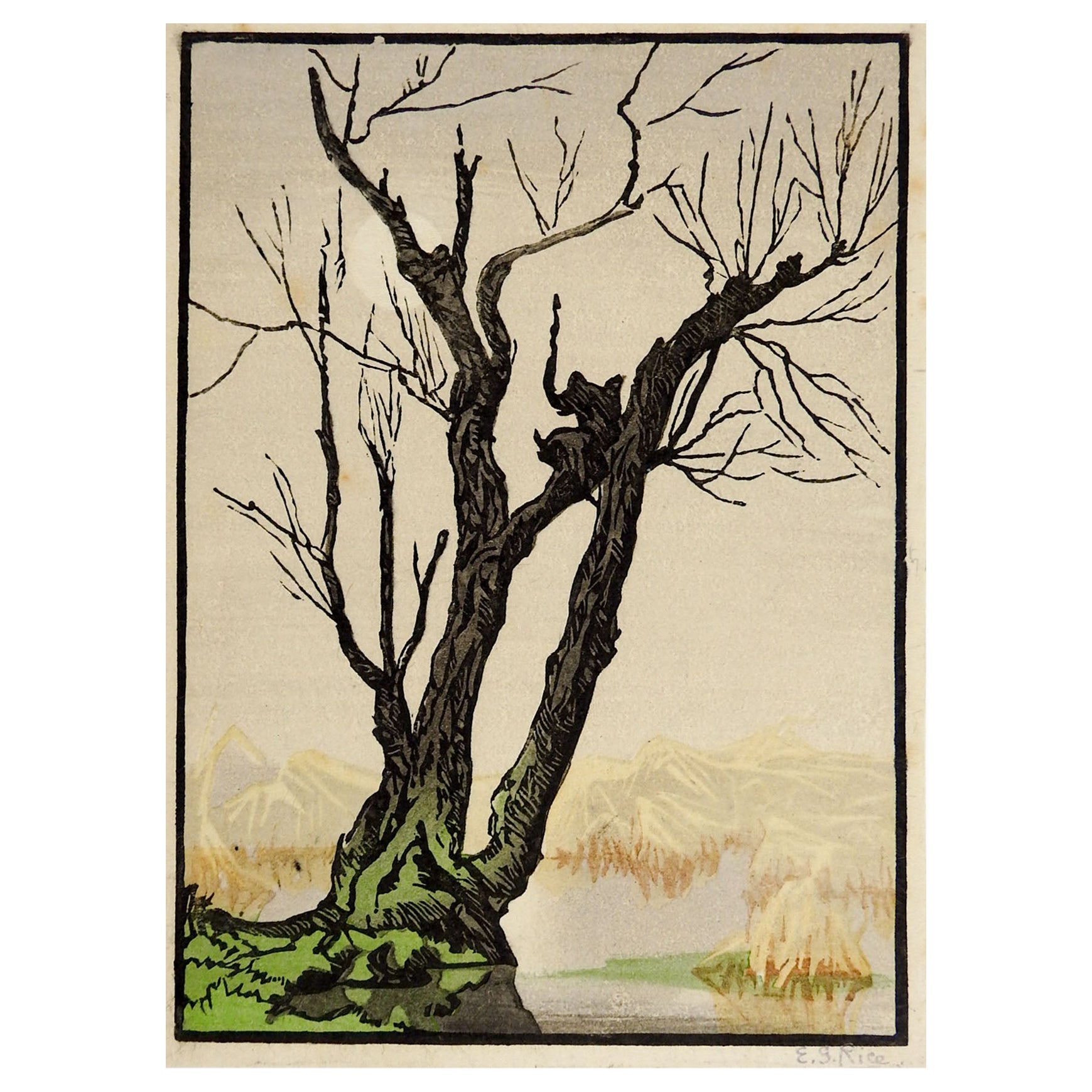 Farbholzschnitt auf Papier eines alten Baumes in den Bergen an einem nebligen Tag von Elsie Garrett Rice (1869-1923) England/Südafrika. Signiert E. G. Rice mit Bleistift am unteren rechten Rand. Ungerahmt, Randabrieb.