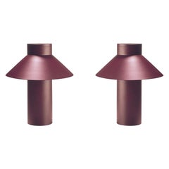 Ensemble de deux lampes de bureau en acier Riscio de Joe Colombo par Karakter