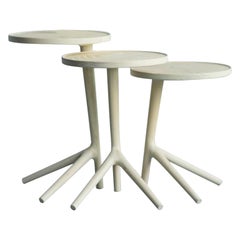 Set of 3 White Ash Tripod Table by Fernweh Woodworking