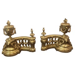 Pair of Antique French 18th Century Gilt Bronze Firedogs/Chenets