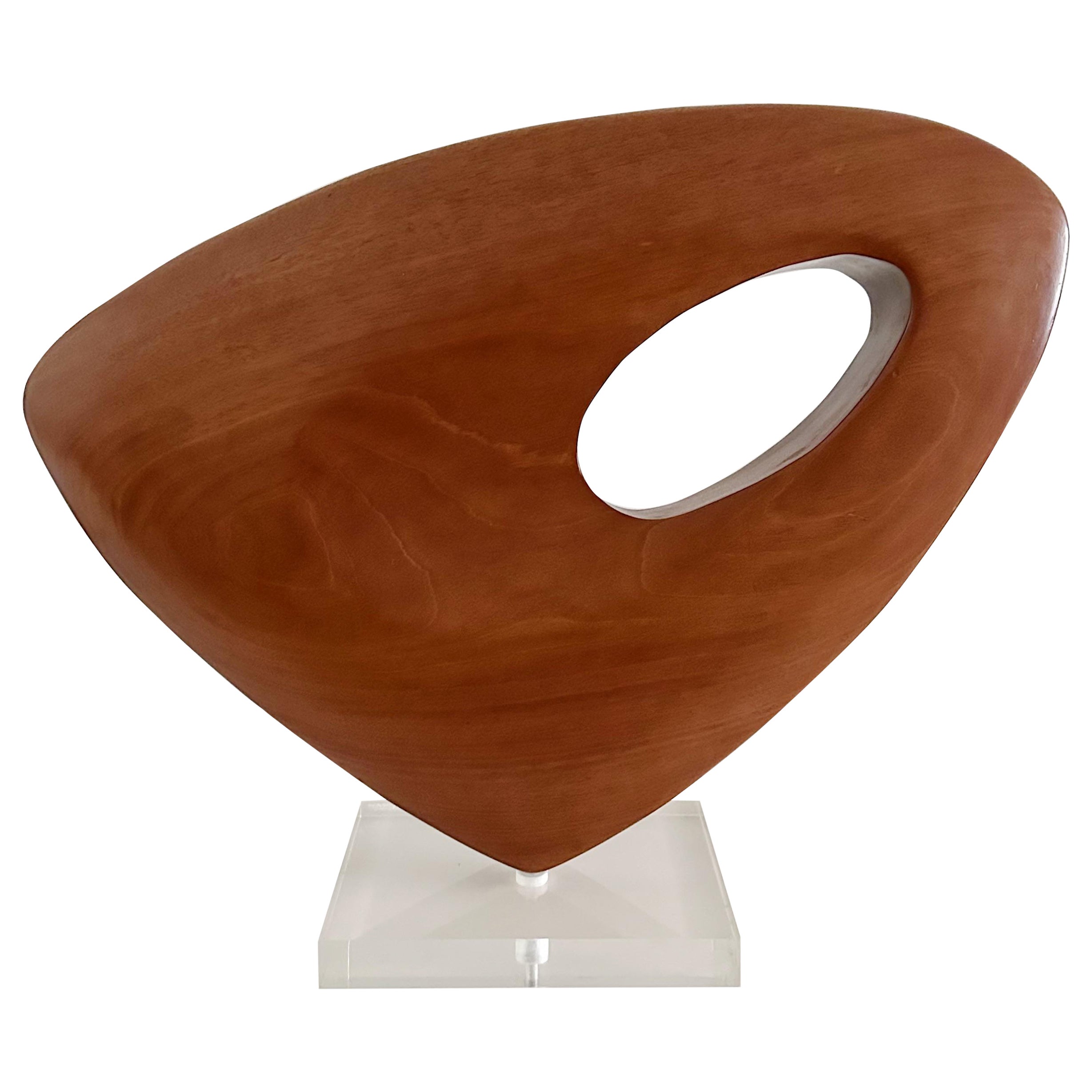 Vintage Biomorphic Abstract Wood Sculpture on Lucite Base For Sale