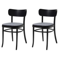 Set of 2 Iconic Black Stained MZO Dining Chairs in Beechwood by Mazo Design