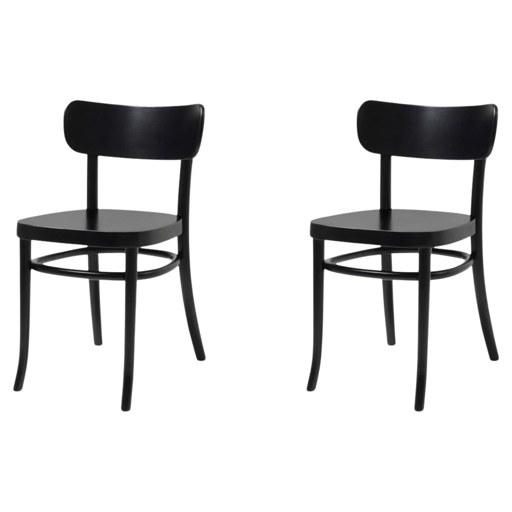 Set of 2 MZO Chairs by Mazo Design For Sale