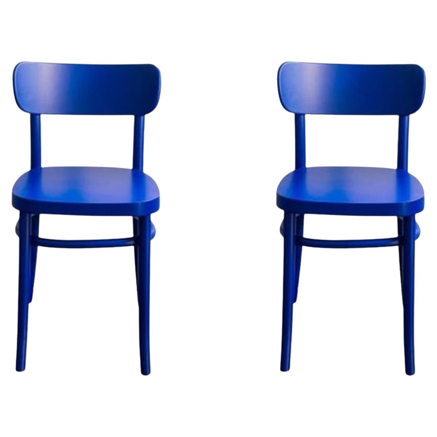 Juego de 2 Sillas MZO Iconic Azul Real de Madera de Haya by Mazo Design