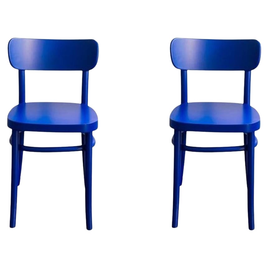 Set of 2 Blue MZO Chairs by Mazo Design