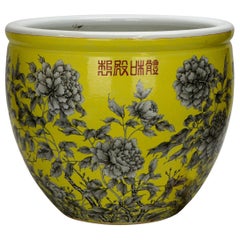 Vintage Large Chinese Qing Yellow Glazed Black Floral Porcelain Jardiniere