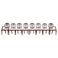 Hickory White Georgian Carved Mahogany Shield Back Dining Chairs, Set of Eight