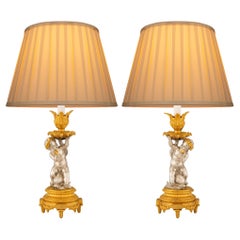 True Pair Of French 19th Century Louis XVI St. Ormolu And Silvered Bronze Lamps