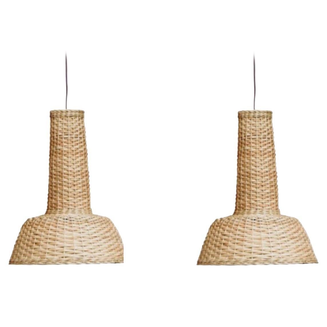 Set of 2 Pendant Lamps by Faina For Sale