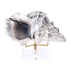 Conchiglia in argento sterling