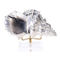 Coquille en argent sterling