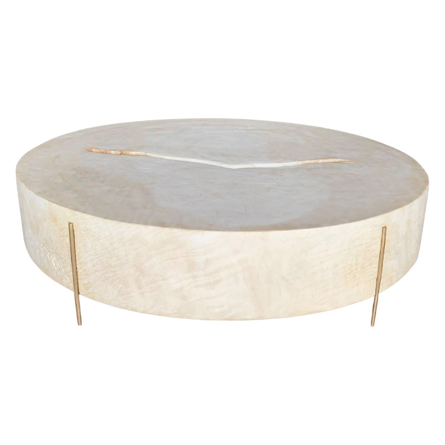 Modern Organic Side Table Crafted from Mango Wood with Brass Legs For Sale