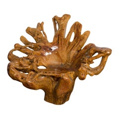 Rustic Camphor Wood Root Chair with Sculptural Form and Polished Finish