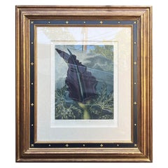Antique Botanical Print, Dragon Arum by Thornton, Robert John, C.1804