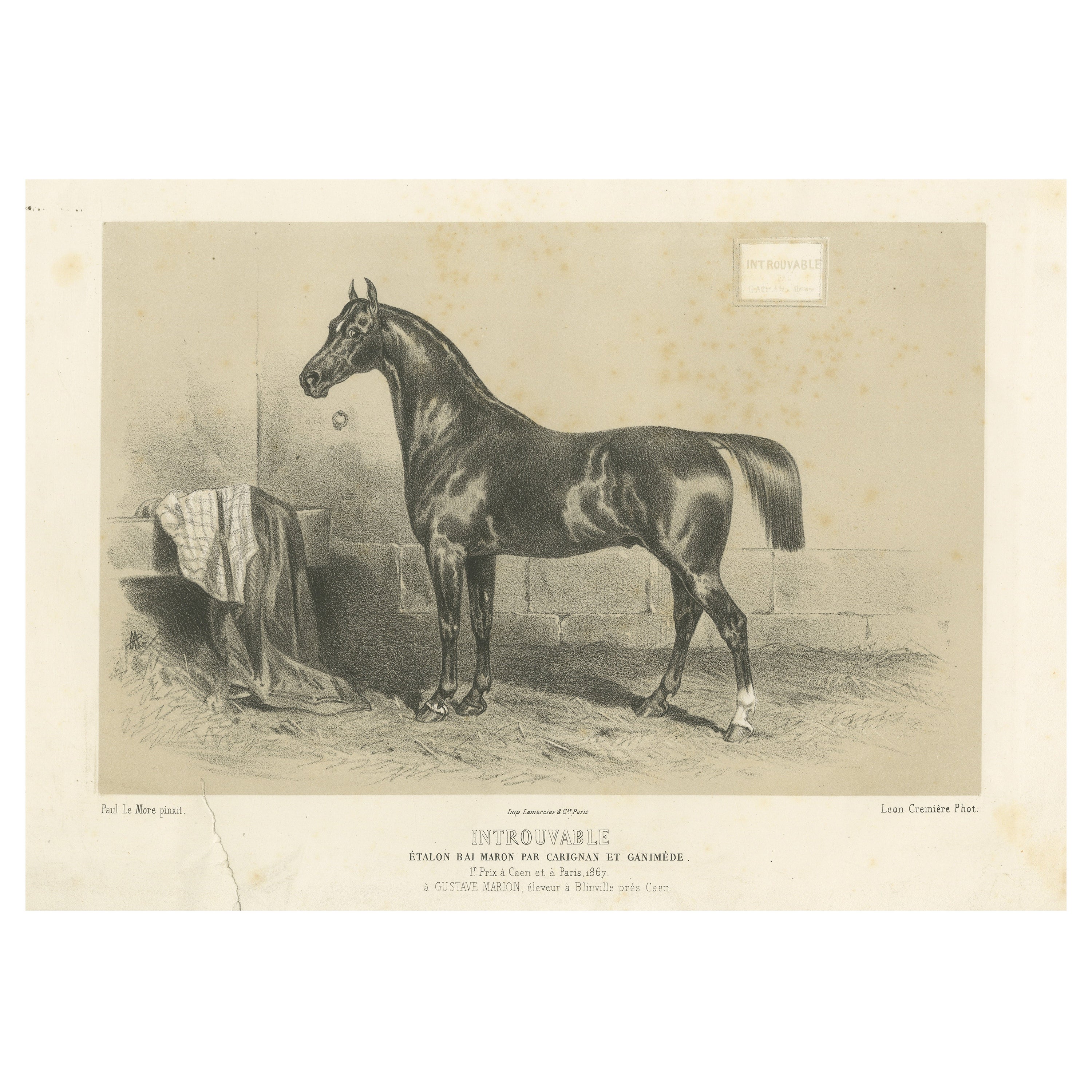 Lithographie ancienne du cheval « Introuvable » (trouvable) en vente